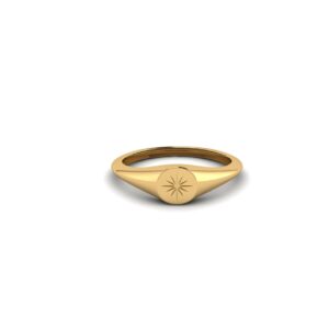 The Tina Petite Signet Starburst 14k Gold Ring