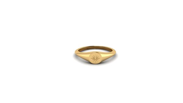 The Tina Petite Signet Starburst 14k Gold Ring