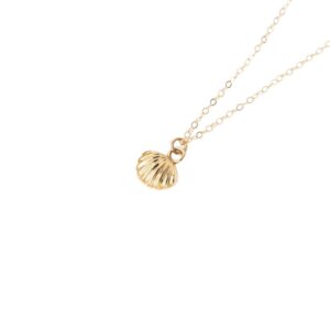 The Mandy_14k Gold Seashell Necklace